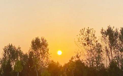 (��)�����ճ�����