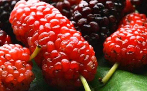 ժɣ�����ă�(y��u)�x[15ƪ]