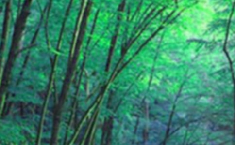 森林報(bào)的閱讀感受