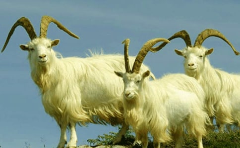 ����(sh��)�ã�ɽ�򲻳����ò��x���