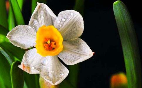 ������ˮ�����x���