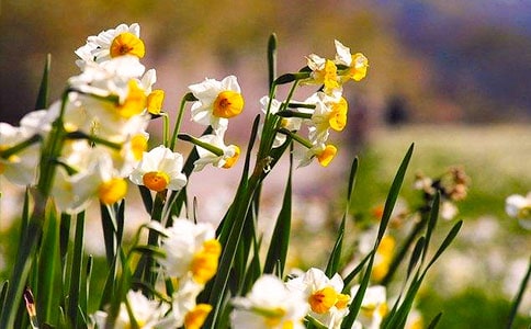 ���P(gu��n)ˮ�ɻ��^����ӛ3ƪ