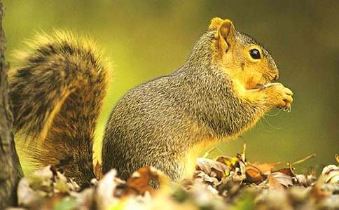 ������~���ģ���(j��ng)��4ƪ��