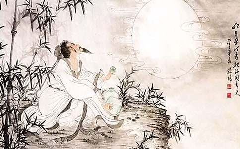 (必備)我眼中的蘇軾作文