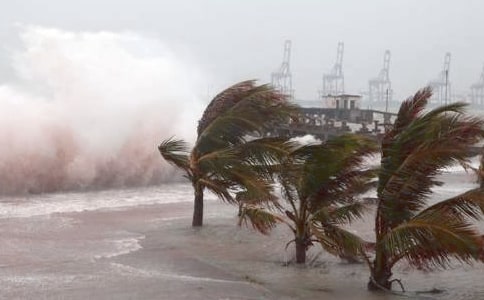 臺風來了作文(優(yōu)秀)