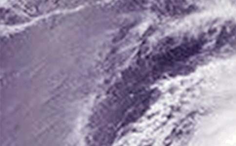 關(guān)于臺(tái)風(fēng)的作文精品15篇