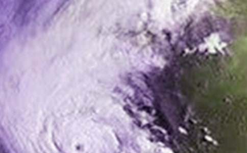 �_�L�^������[����15ƪ]