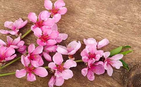 ��������ʮ���һ���(j��ng)���Z�