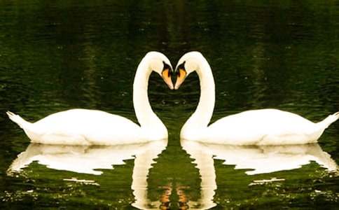 �������Z��ˮ�����x���(�R��15ƪ)