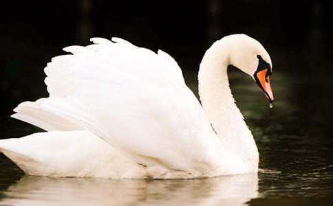 ����С̖(h��o)�����Z���x��С��᡿