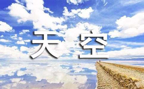 《天空之城》觀后感(通用23篇)