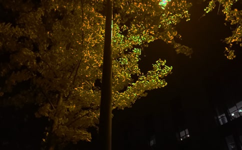 ��(ji��n)���ă�(y��u)�����������Z(y��)����64��