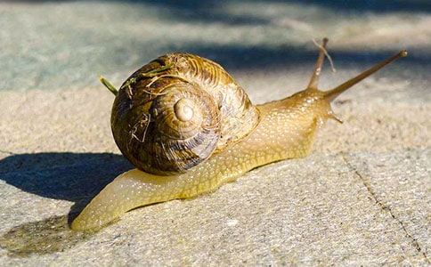 ��΁ţ�Ŀ��D��Ԓ