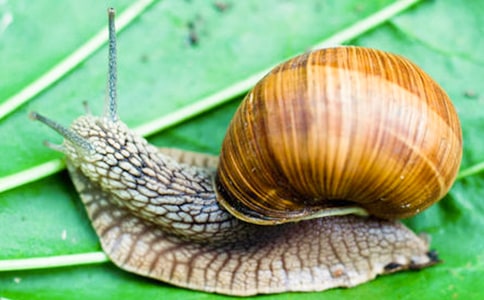 ΁ţ�^����ӛ������