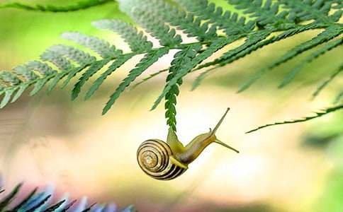 ΁ţ�^����ӛ(ͨ��15ƪ)