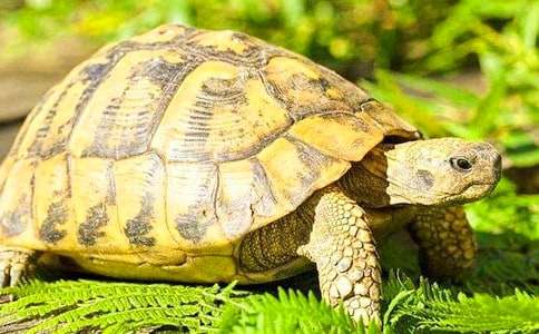 ������������ͨ��