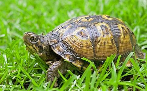 �����^����ӛ(ͨ��15ƪ)