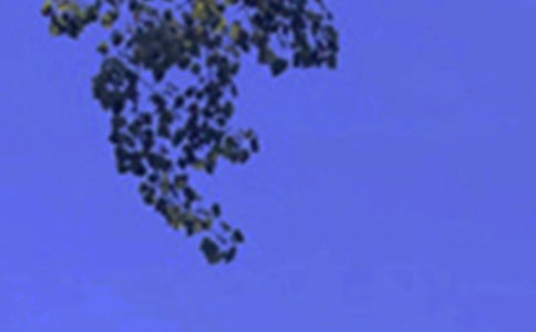 ��(y��u)�����簲���Z����ժ�56��