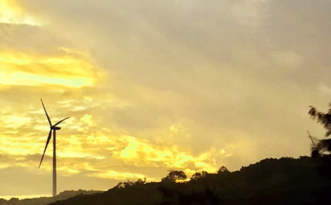 �簲���Z���ŅR��81�l