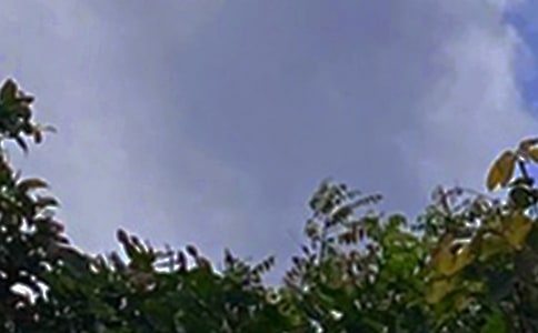 2026�ꃞ(y��u)�����簲��(w��n)���Z(y��)���Ŵ󼯺�73��