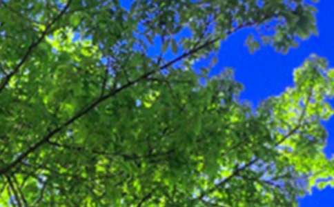 ��ů���簲QQ�����Z48��