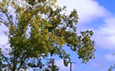 2026���ů���簲QQ�����Z����74��