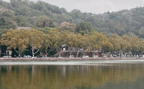 ���õ�������ӛ����3ƪ