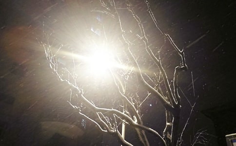 �P(gu��n)����ѩ����ӛ����Ʒ15ƪ��