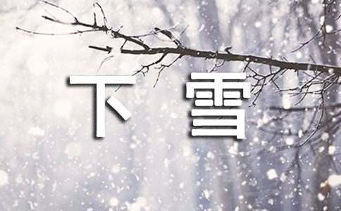 關(guān)于下雪的小學(xué)作文