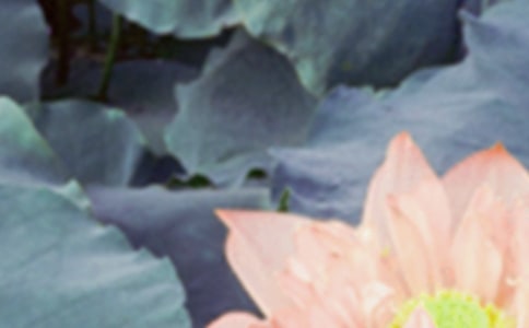 �������ž����f(shu��)�f(shu��)