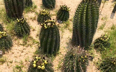 ��������ӛ�\��10ƪ