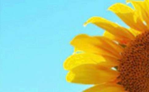 ��(xi��)���տ�������