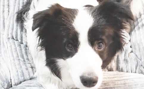 ����С�����D��Ԓ���꼉(j��)