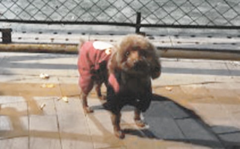 �Һ�С���Ĺ��£�����15ƪ��