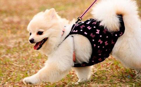 �ҵ�`��(d��ng)���������꼉(j��)С��