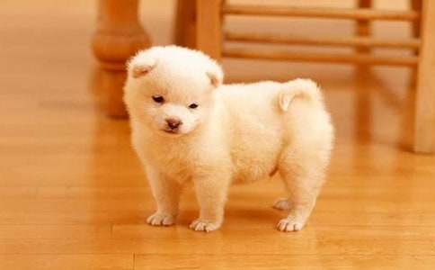 ��С���X�X���x��� (15ƪ)