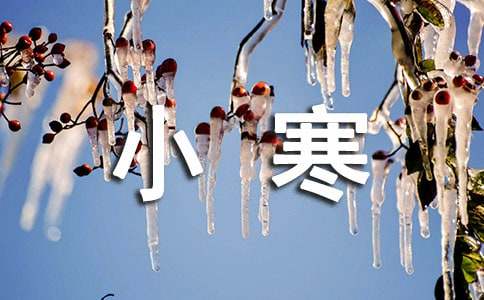 �P(gu��n)��С����(ji��)�↖(w��n)�����