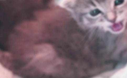 �����á�С�W(xu��)С؈����300�օR����ƪ