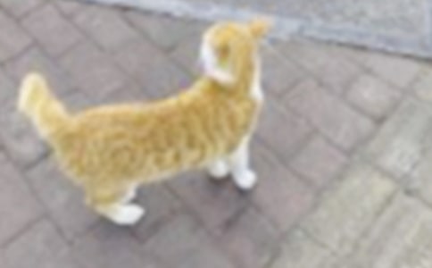 �����]��С؈С�W����400�ֺϼ���ƪ