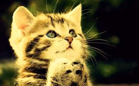 �����A��С�W(xu��)С؈���ļ��Ͼ�ƪ