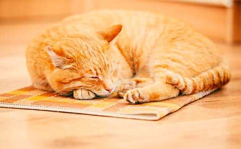 ���P(gu��n)С؈С�W����400�ֺϼ�ʮƪ