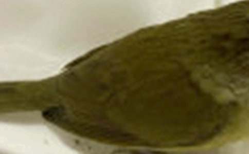 С�B(ni��o)��������