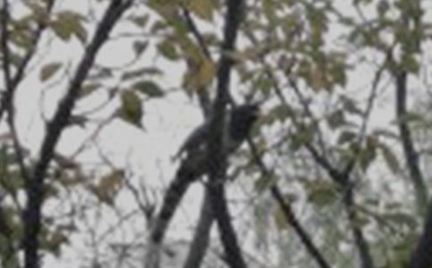 ���xС�B�^����ӛ3ƪ