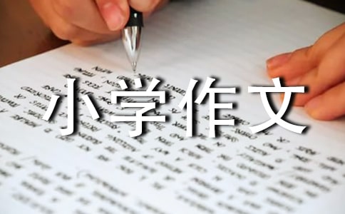 ���x�ҵ�С�W(xu��)����400��4ƪ