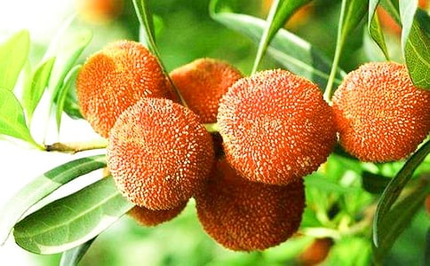 ���ĵė�÷��(y��u)������350��