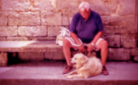 《海蒂和爺爺》觀后感(15篇)