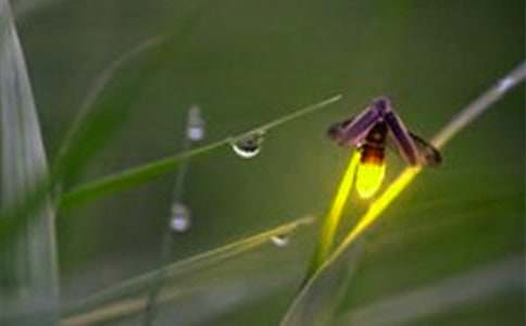 ��Ξ���x֮Ĺ���^��кϼ�11ƪ