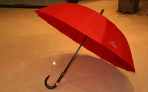 小兔采蘑菇當雨傘看圖寫話