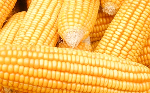 �Ґۼ��l(xi��ng)����������