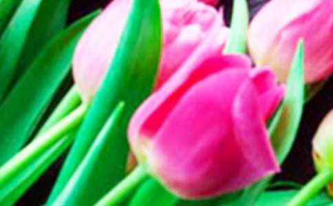 ����������(��(sh��)��)